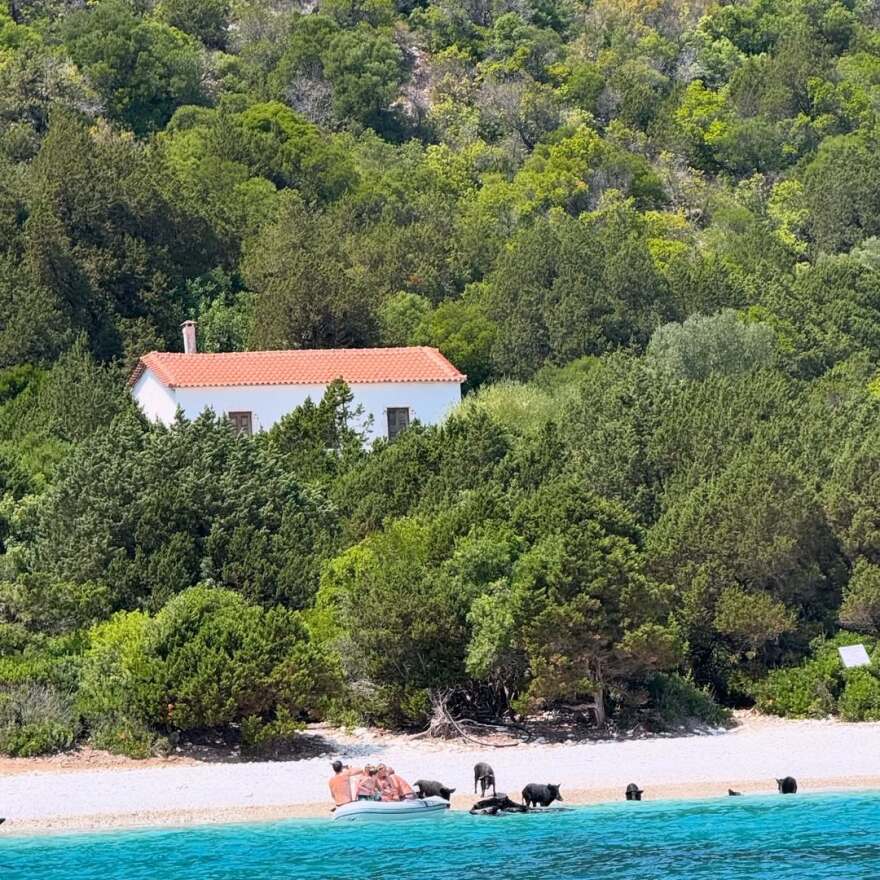 Η Μαρία Μπεκατώρου «έγραψε τη δική της ιστορία» στην Κεφαλονιά - Δείτε τις φωτογραφίες που ανέβασε Η Μαρία Μπεκατώρου «έγραψε τη δική της ιστορία» στην Κεφαλονιά - Δείτε τις φωτογραφίες που ανέβασε