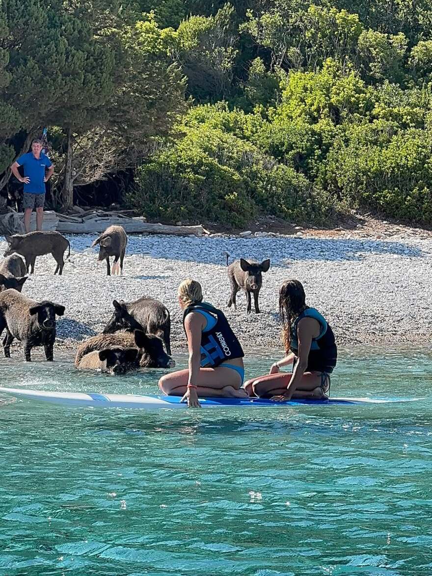 Η Μαριέττα Χρουσαλά κολύμπησε στην Άτοκο δίπλα σε γουρούνια - Δείτε φωτογραφίες