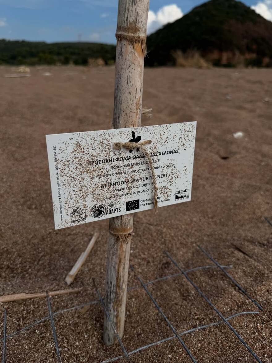Η Αποστολία Ζώη αναπολεί ήδη το καλοκαίρι - Δείτε τις φωτογραφίες που ανέβασε 