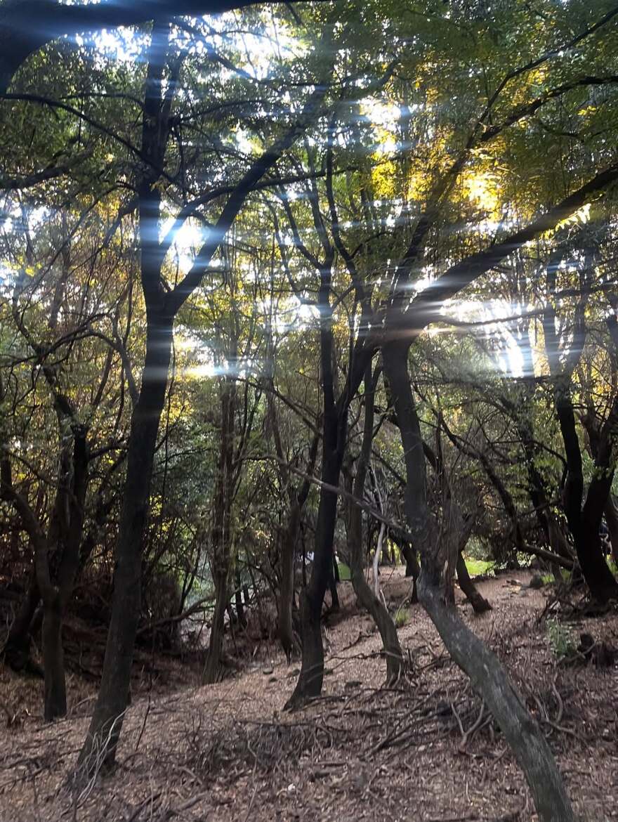 Η Μαρία Κωνσταντάκη ποζάρει τόπλες στη Σαμοθράκη: «Φύση, σώμα και πνεύμα ήταν ένα»