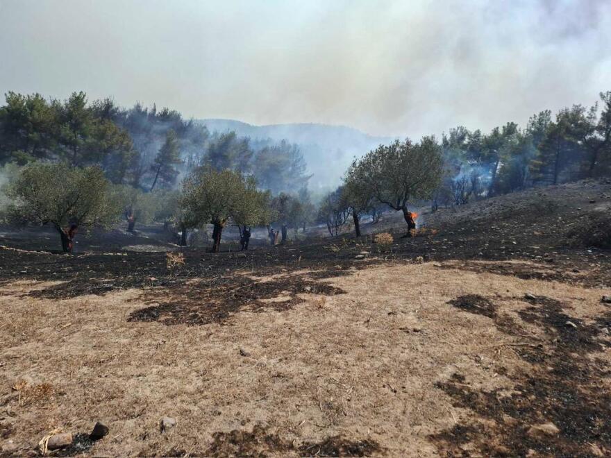 Υπό έλεγχο η φωτιά στη Βρίσα Λέσβου - Δείτε βίντεο

