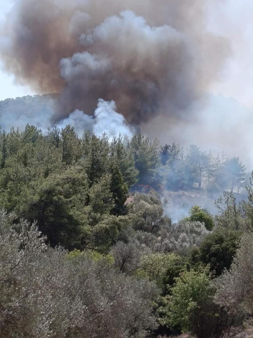 Υπό έλεγχο η φωτιά στη Βρίσα Λέσβου - Δείτε βίντεο
