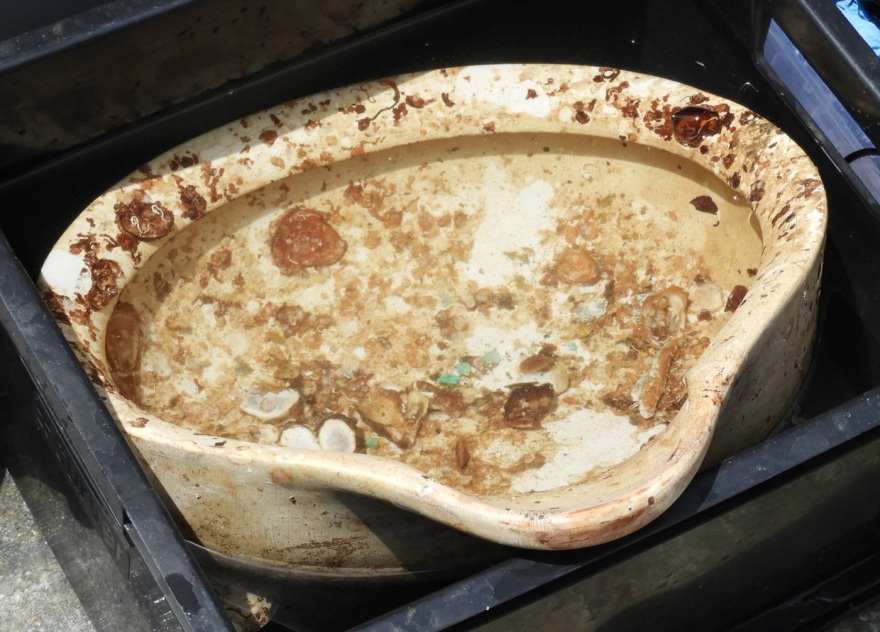 Κέα: Έρευνες στον «Βρετανικό» που ναυάγησε το 1916 στην Ελλάδα - Εντυπωσιακό βίντεο και ευρήματα