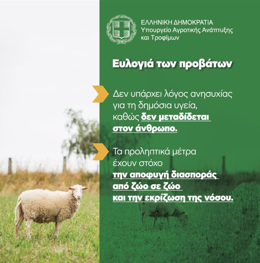 Οκτώ ερωτήσεις και απαντήσεις για την ευλογιά των προβάτων - Τα μέτρα για τον περιορισμό της νόσου