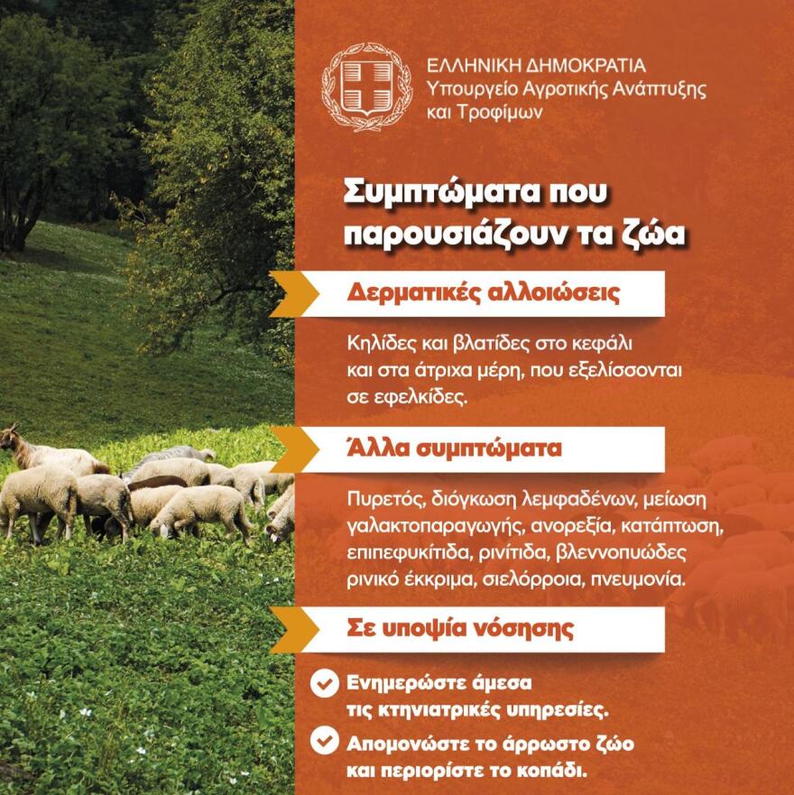 Οκτώ ερωτήσεις και απαντήσεις για την ευλογιά των προβάτων - Τα μέτρα για τον περιορισμό της νόσου