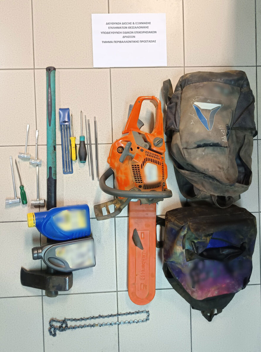 Χειροπέδες σε 65χρονο για παράνομη υλοτομία στη Θεσσαλονίκη - Έκοβε δέντρα στο δάσος της Αρέθουσας