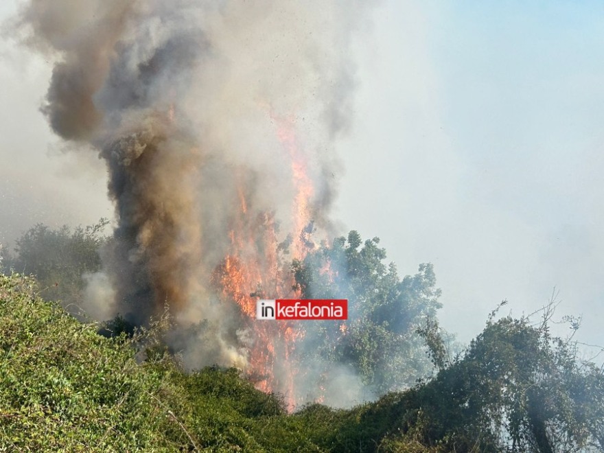 Χωρίς ενεργό μέτωπο η φωτιά στα Μεταξάτα Κεφαλονιάς - Δείτε βίντεο