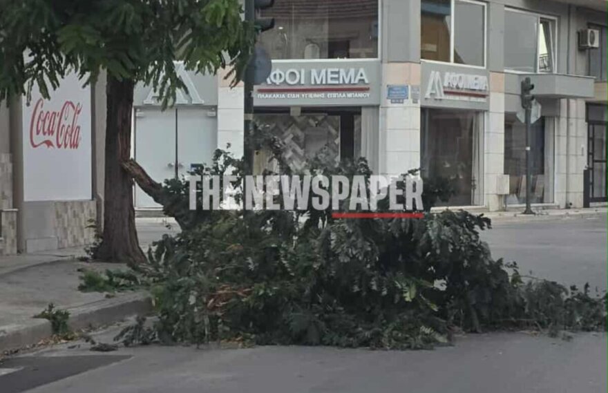 Εικόνα 5
