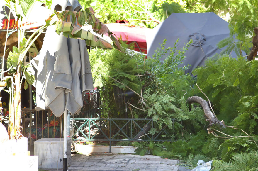 Έπεσε δέντρο στην πλατεία Αγίας Ειρήνης, στο κέντρο της Αθήνας - Δύο τραυματίες, δείτε βίντεο και φωτογραφίες