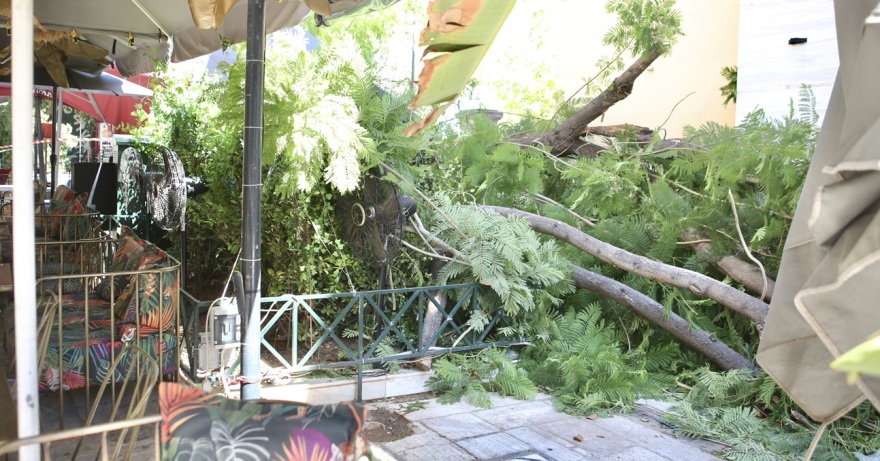 Έπεσε δέντρο στην πλατεία Αγίας Ειρήνης, στο κέντρο της Αθήνας - Δύο τραυματίες, δείτε βίντεο και φωτογραφίες