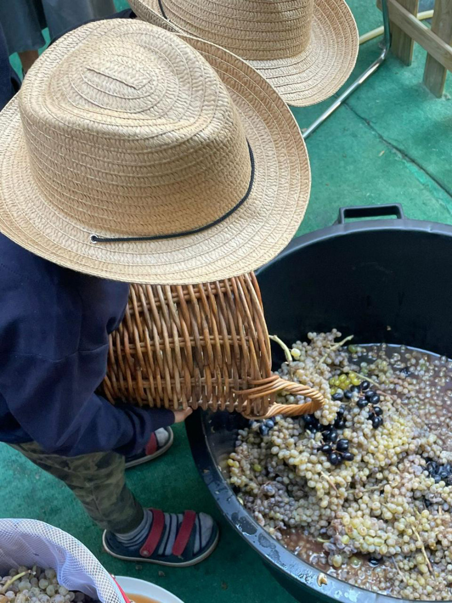 Cycladic Kids Festival. Το περιβάλλον  μέσα από τα μάτια των παιδιών!