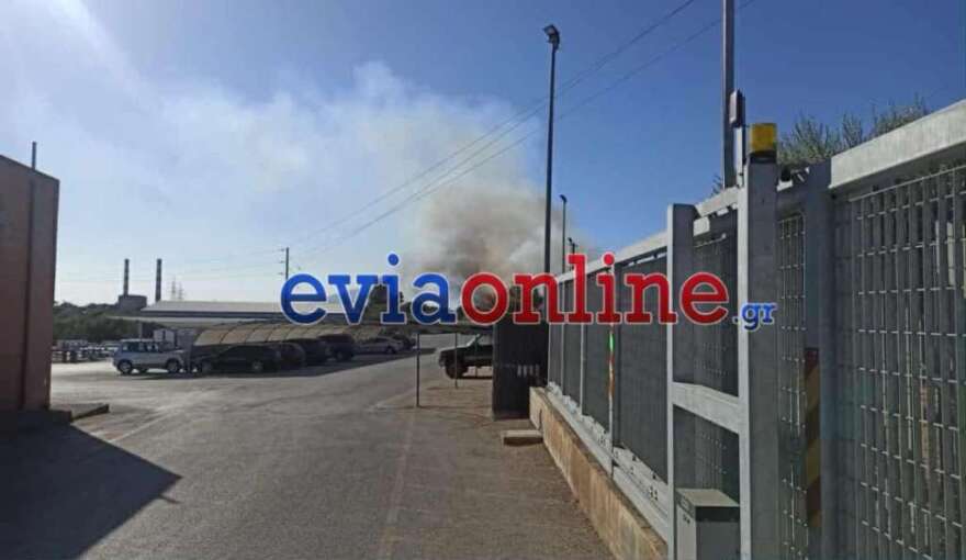 Φωτιά τώρα στην Ανθούπολη Εύβοιας - Κινητοποίηση της Πυροσβεστικής, δείτε βίντεο