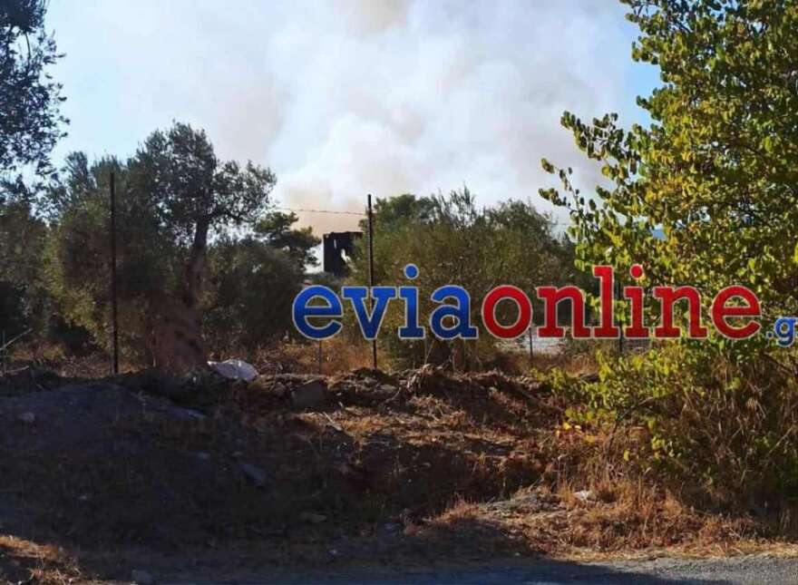 Φωτιά τώρα στην Ανθούπολη Εύβοιας - Κινητοποίηση της Πυροσβεστικής, δείτε βίντεο