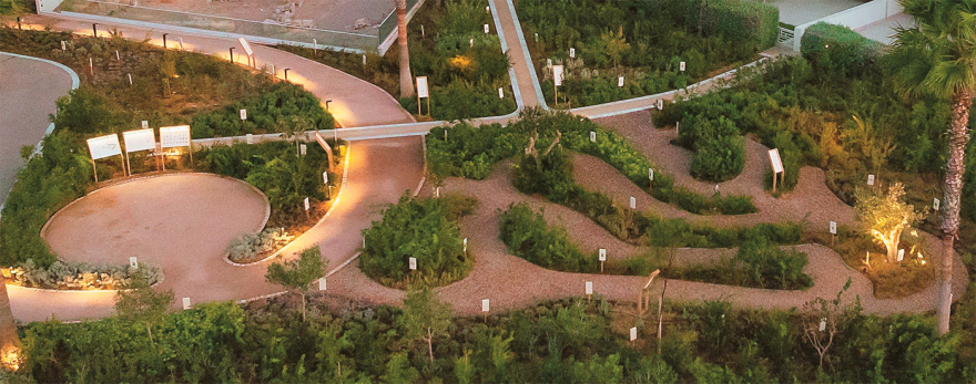 Τo Ασκληπιείο της Κω: Ανθισε ο Κήπος του Ιπποκράτη 2.500 χρόνια μετά