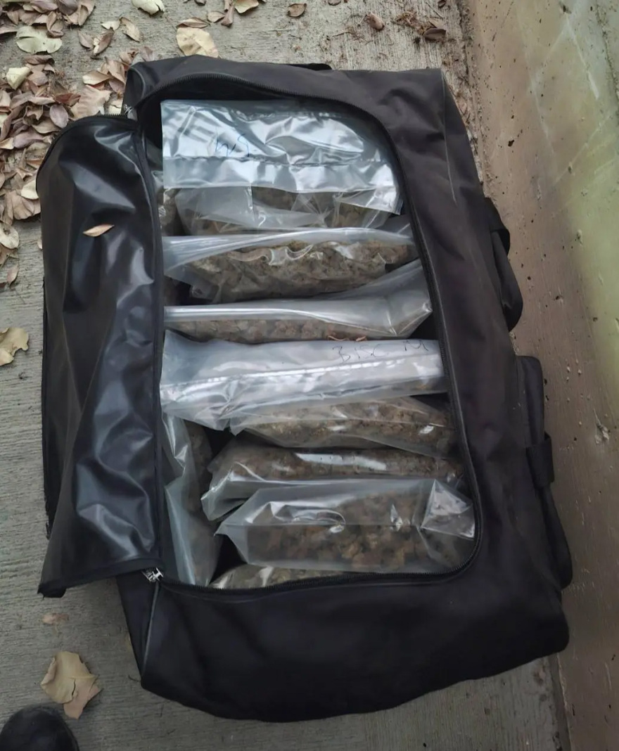 Εντοπίστηκαν περισσότερα από 22 κιλά κάνναβης μετά από αστυνομική επιχείρηση σε αποθήκη στο Μαρκόπουλο