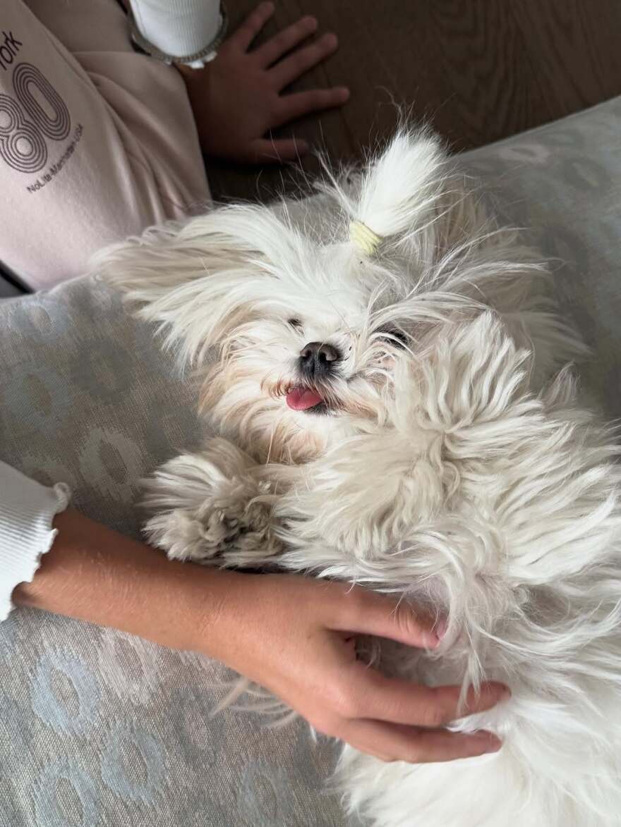 Η Ελένη Μενεγάκη ευχήθηκε καλό μήνα στους διαδικτυακούς της φίλους