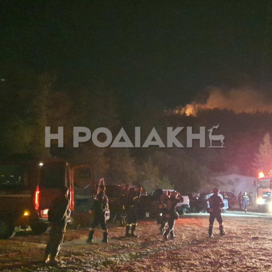 Φωτιά σε δασική έκταση στην Ελεούσα Ρόδου