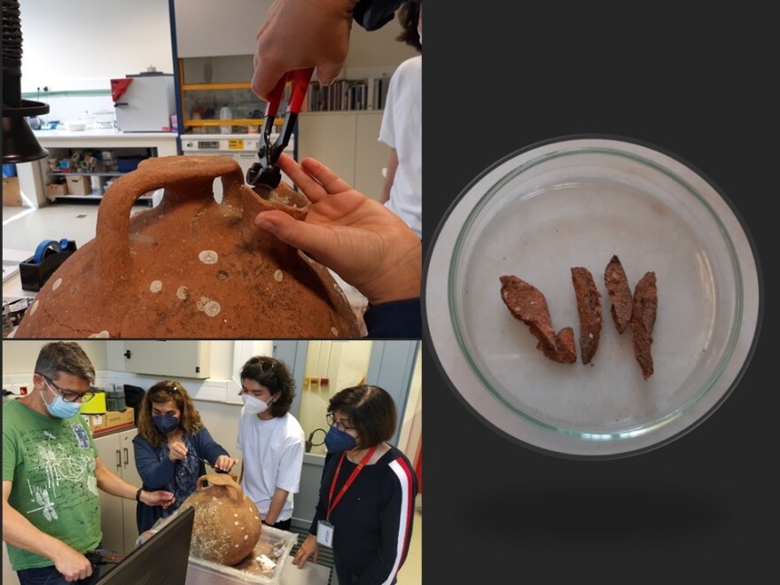 Πήλινος μυκηναϊκός αμφορέας της Ύστερης Εποχής Χαλκού παρουσιάζεται για πρώτη φορά στο Αρχαιολογικό Μουσείο Θεσσαλονίκης