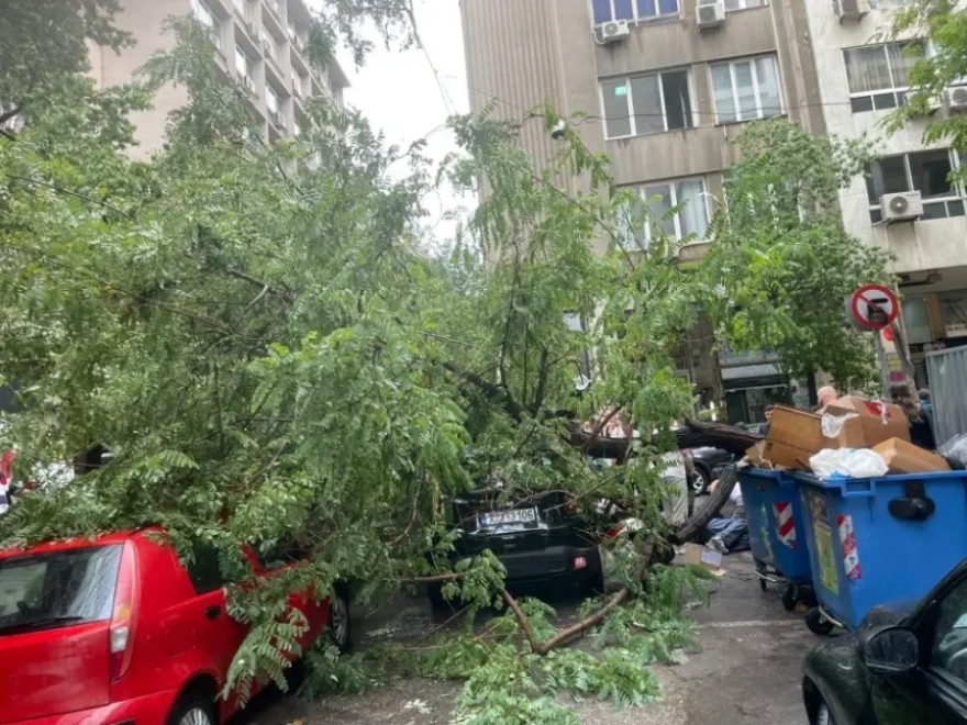 Ατύχημα προκάλεσε η νεροποντή στην Αθήνα – Δέντρο ξεριζώθηκε και τραυμάτισε περαστικό, φωτογραφίες