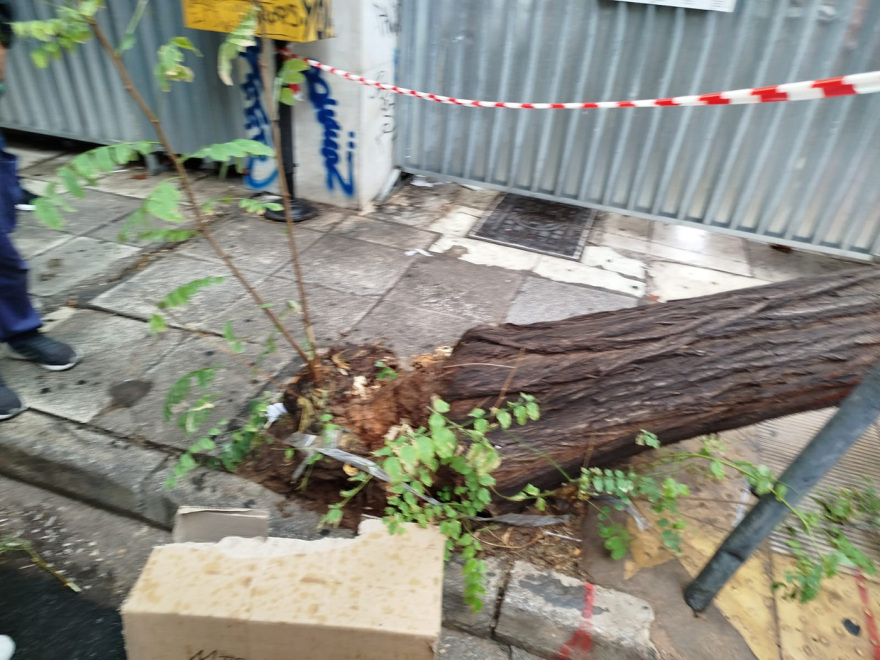 Ατύχημα προκάλεσε η νεροποντή στην Αθήνα – Δέντρο ξεριζώθηκε και τραυμάτισε περαστικό, βίντεο και φωτογραφίες