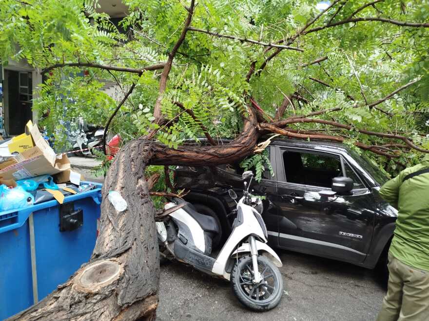 Ατύχημα προκάλεσε η νεροποντή στην Αθήνα – Δέντρο ξεριζώθηκε και τραυμάτισε περαστικό, βίντεο και φωτογραφίες