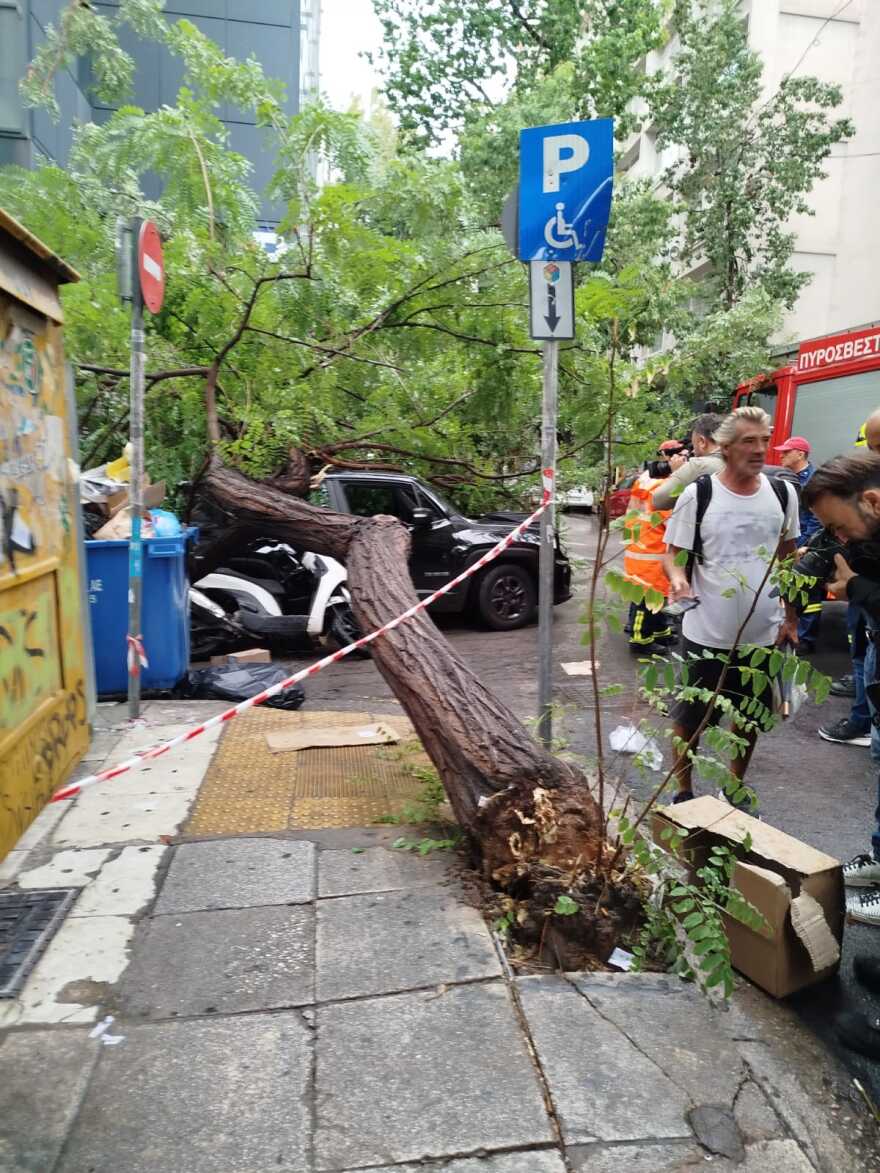 Ατύχημα προκάλεσε η νεροποντή στην Αθήνα – Δέντρο ξεριζώθηκε και τραυμάτισε περαστικό, βίντεο και φωτογραφίες