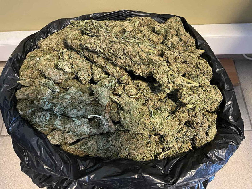 Ηράκλειο: Συνελήφθη 57χρονος για ναρκωτικά - Εντοπίστηκαν 17 κιλά κάνναβης και 46 δενδρύλλια, δείτε φωτογραφίες
