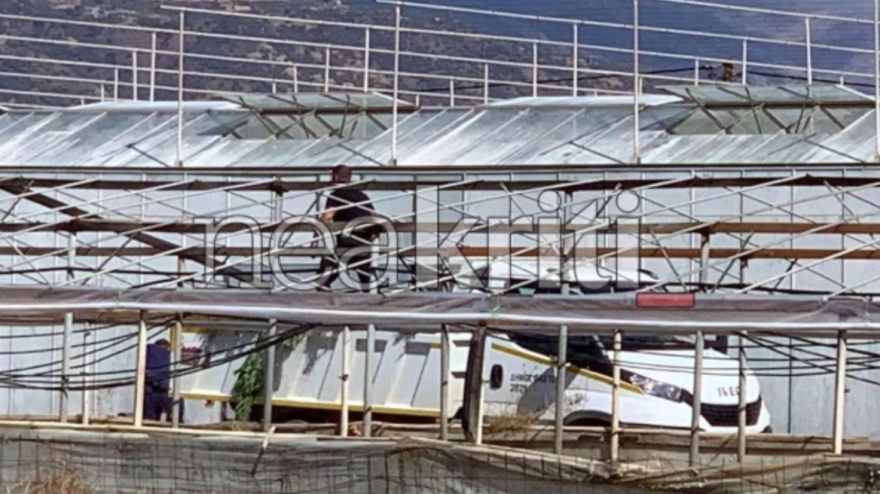 Μεγάλη αστυνομική επιχείρηση στη Μεσσαρά: Ξήλωσαν χασισοφυτεία «μαμούθ» με πάνω από 1.000 δενδρύλλια κάνναβης