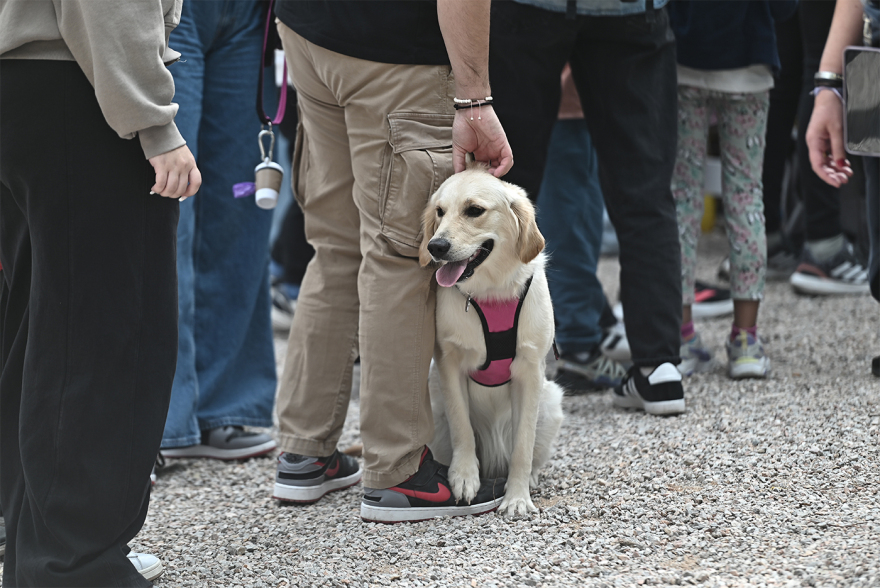Παγκόσμια Ημέρα των Ζώων: Η μεγάλη γιορτή του topetmou.gr στο Άλσος Κηφισιάς