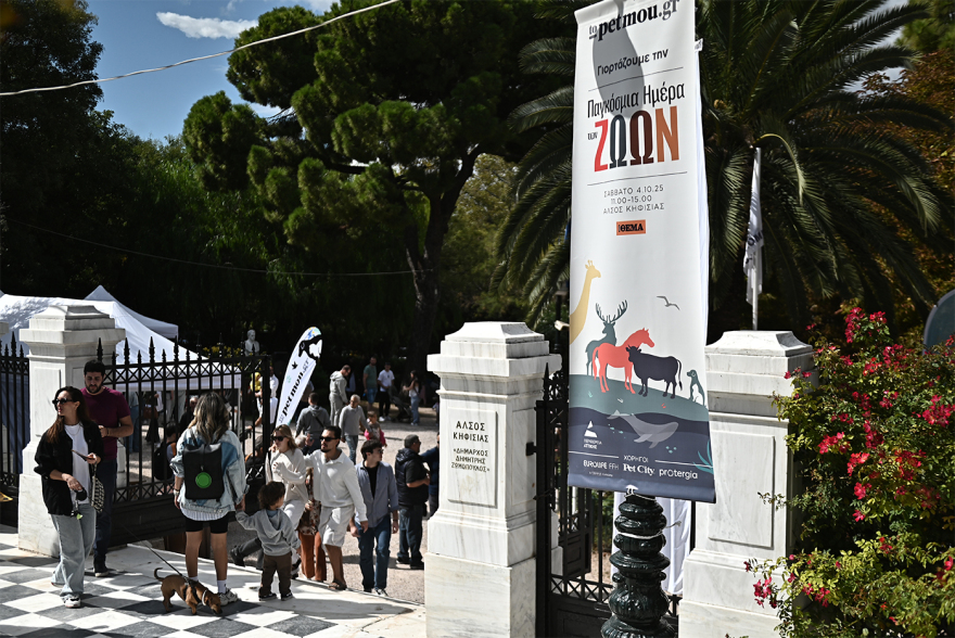 Παγκόσμια Ημέρα των Ζώων: Η μεγάλη γιορτή του topetmou.gr στο Άλσος Κηφισιάς