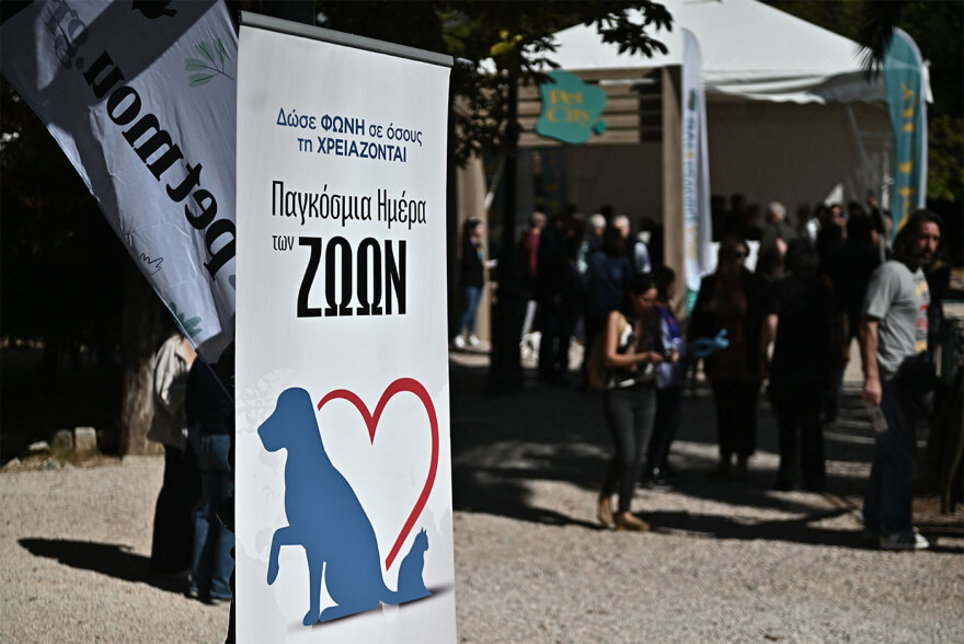 Παγκόσμια Ημέρα των Ζώων: Η μεγάλη γιορτή του topetmou.gr στο Άλσος Κηφισιάς