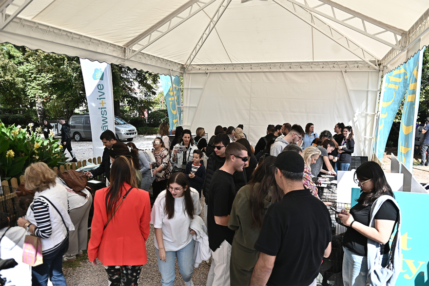 Παγκόσμια Ημέρα των Ζώων: Η μεγάλη γιορτή του topetmou.gr στο Άλσος Κηφισιάς