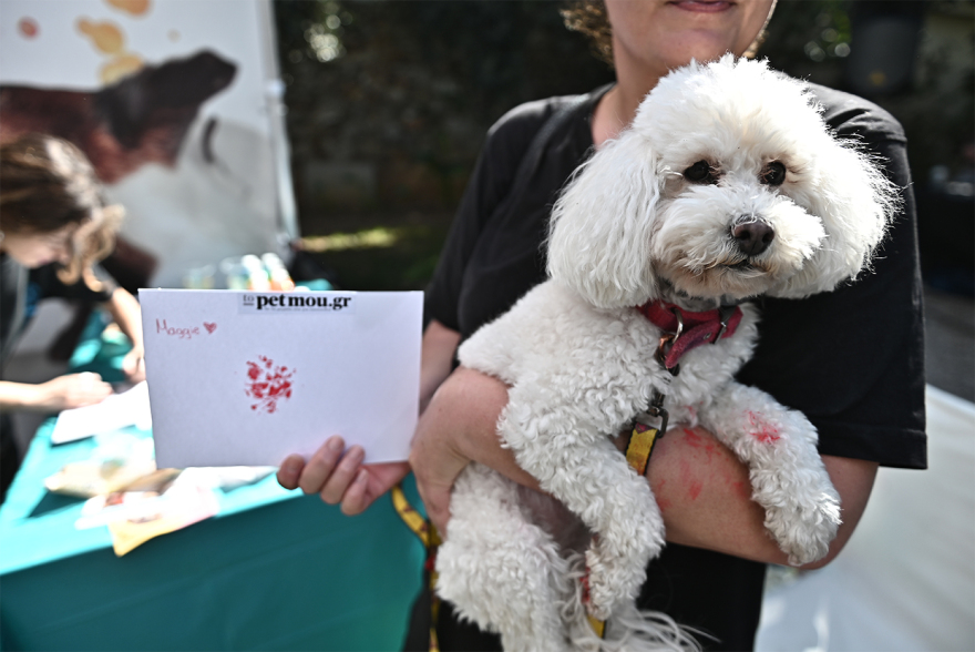 Παγκόσμια Ημέρα των Ζώων: Η μεγάλη γιορτή του topetmou.gr στο Άλσος Κηφισιάς