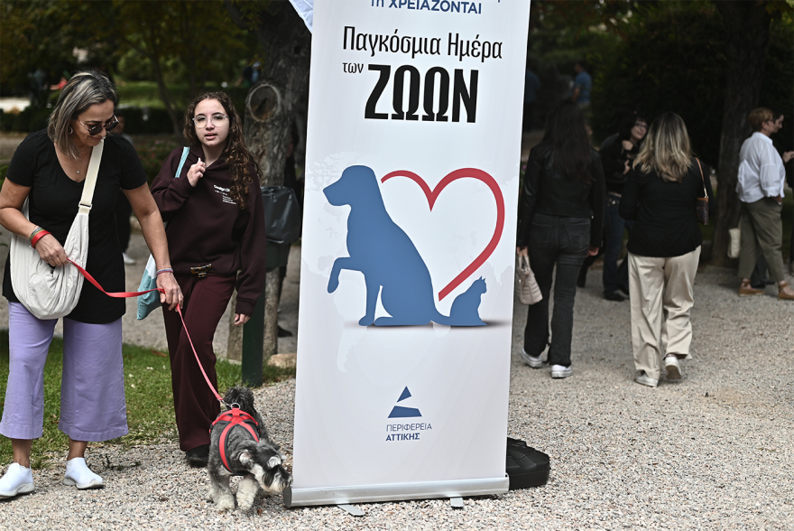 Παγκόσμια Ημέρα των Ζώων: Η μεγάλη γιορτή του topetmou.gr στο Άλσος Κηφισιάς