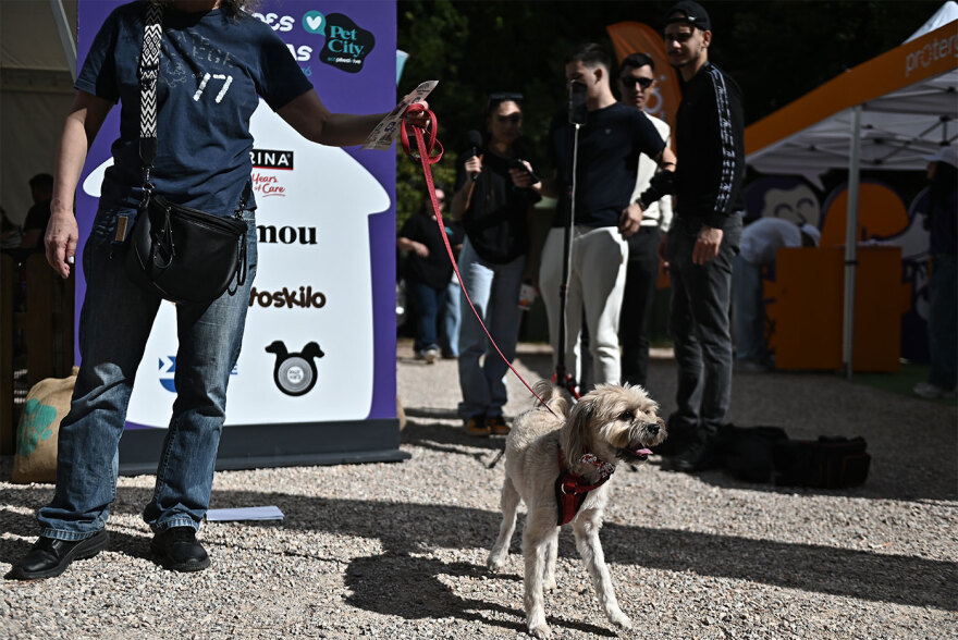 Παγκόσμια Ημέρα των Ζώων: Η μεγάλη γιορτή του topetmou.gr στο Άλσος Κηφισιάς