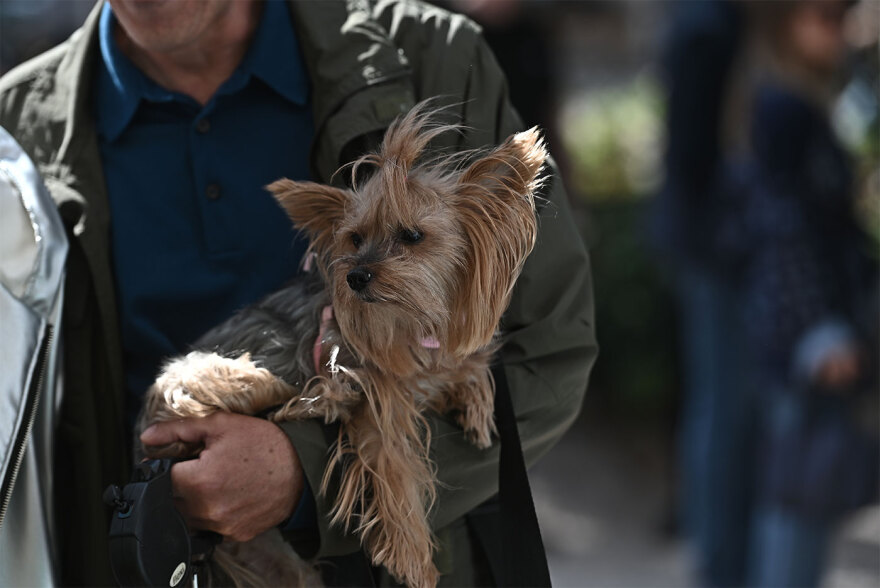 Παγκόσμια Ημέρα των Ζώων: Η μεγάλη γιορτή του topetmou.gr στο Άλσος Κηφισιάς