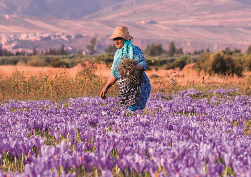Το όραμα που συνδυάζει κοινωνική ευθύνη και περιβαλλοντική καινοτομία