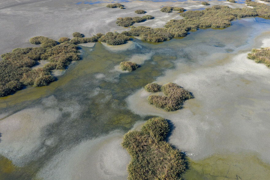 Λίμνη Κορώνεια: «Στεγνώνει» ξανά – Εικόνα εγκατάλειψης και οικολογικής κατάρρευσης
