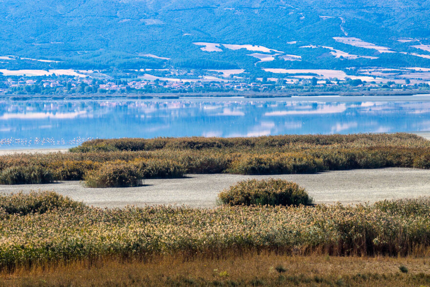 Λίμνη Κορώνεια: «Στεγνώνει» ξανά – Εικόνα εγκατάλειψης και οικολογικής κατάρρευσης
