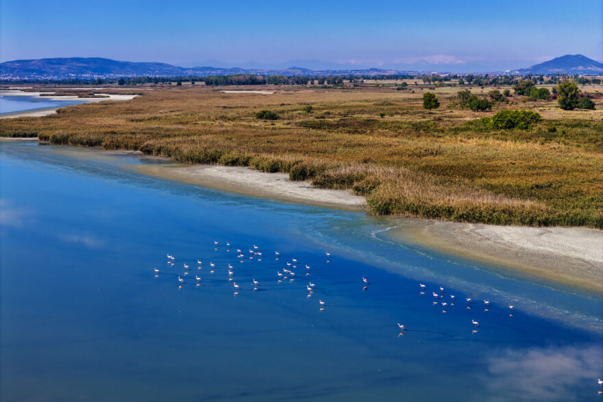 Λίμνη Κορώνεια: «Στεγνώνει» ξανά – Εικόνα εγκατάλειψης και οικολογικής κατάρρευσης
