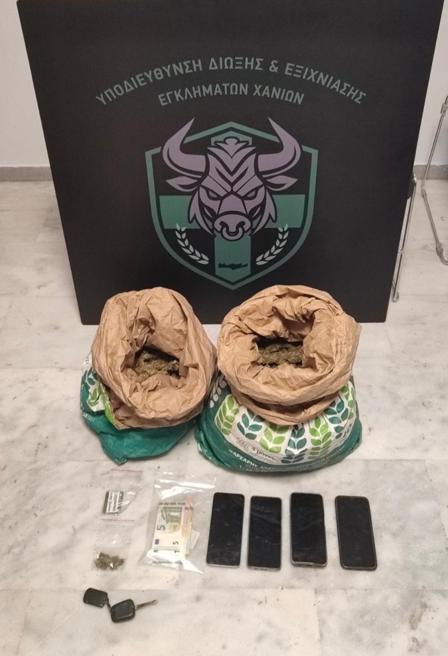 Φυτεία με 130 δενδρύλλια κάνναβης καλλιεργούσαν δύο άνδρες - Στο σπίτι τους έκρυβαν τα 3 κιλά χασίς