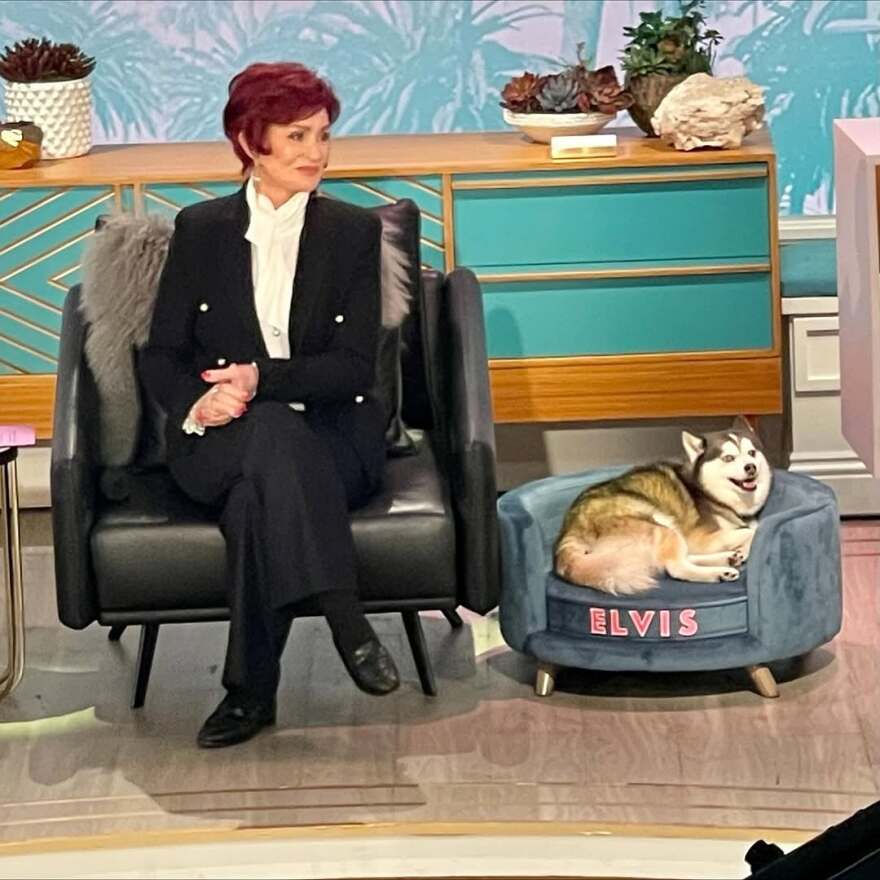 Σάρον Όσμπορν: Πέθανε ο σκύλος της - Μου χάρισε 14 πολύτιμα χρόνια, έγραψε για τον θάνατό του
