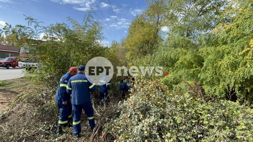 Νεκρός 76χρονος σε τροχαίο στην Επαρχιακή Οδό Καστοριάς – Αμυνταίου - Το αυτοκίνητό του έπεσε σε χαντάκι