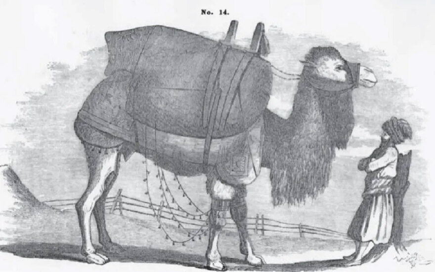 Το εργοστάσιο πυρίτιδας στο χωριό των καμηλιέρηδων και άλλες 39 «Ιστορίες Παλιάς Θεσσαλονίκης»