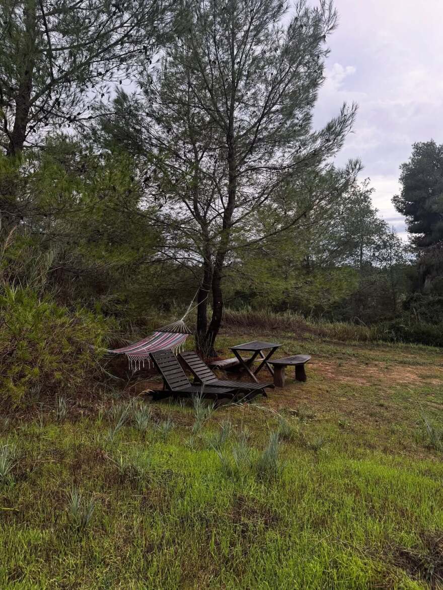 Φωτογραφία: Η Δανάη Μπάρκα ποζάρει γυμνή στη μπανιέρα