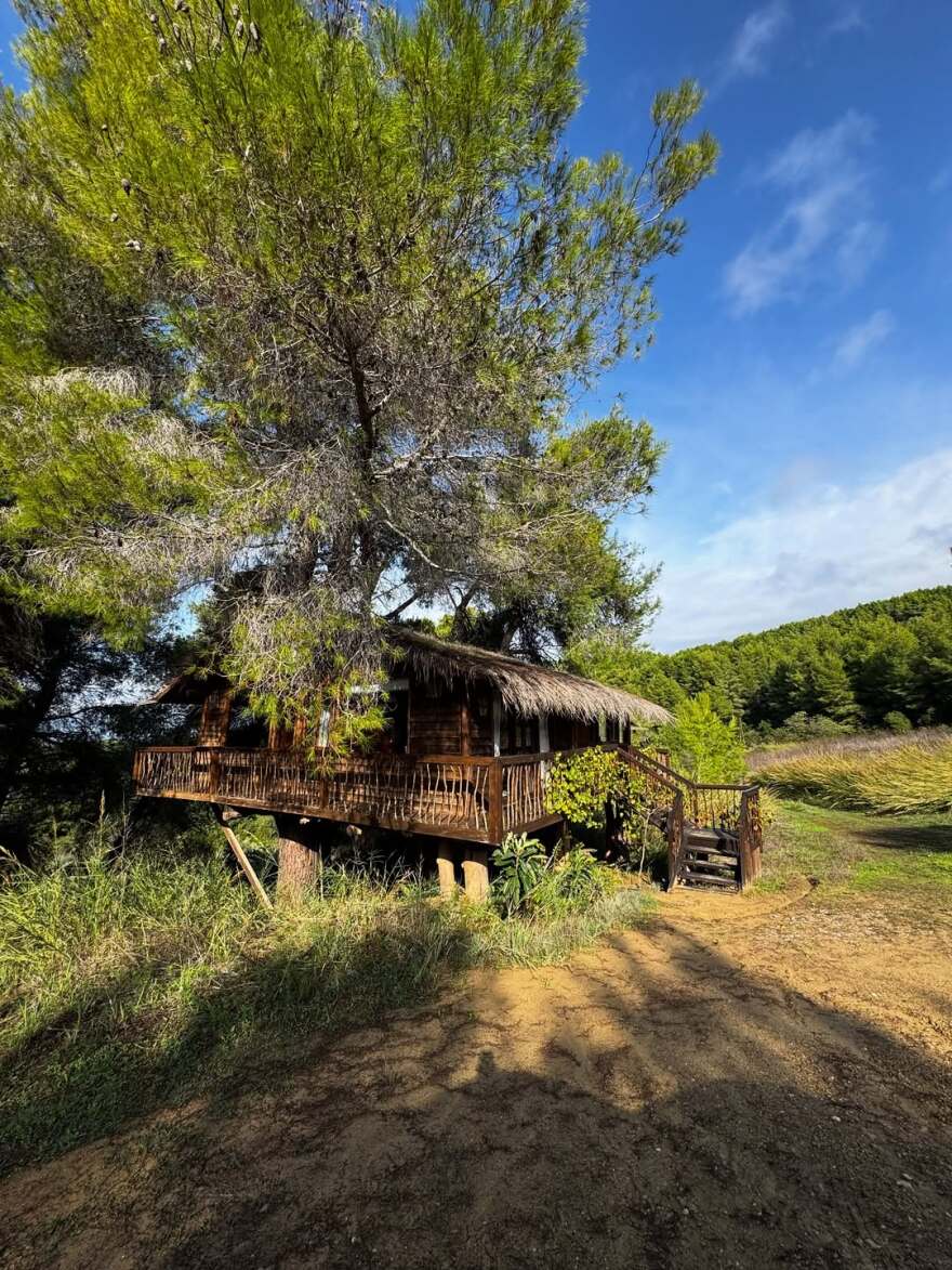 Φωτογραφία: Η Δανάη Μπάρκα ποζάρει γυμνή στη μπανιέρα
