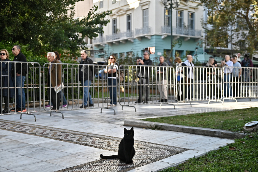 kideia_savopoulos__4_