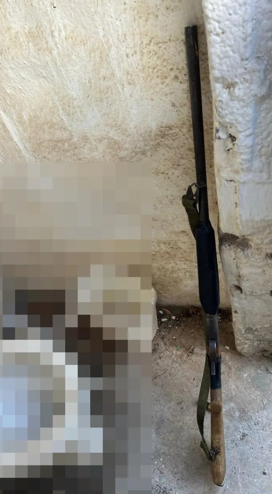 Όπλα, φυσίγγια και μαχαίρια βρήκαν οι αστυνομικοί σε σπίτια στα Βορίζια