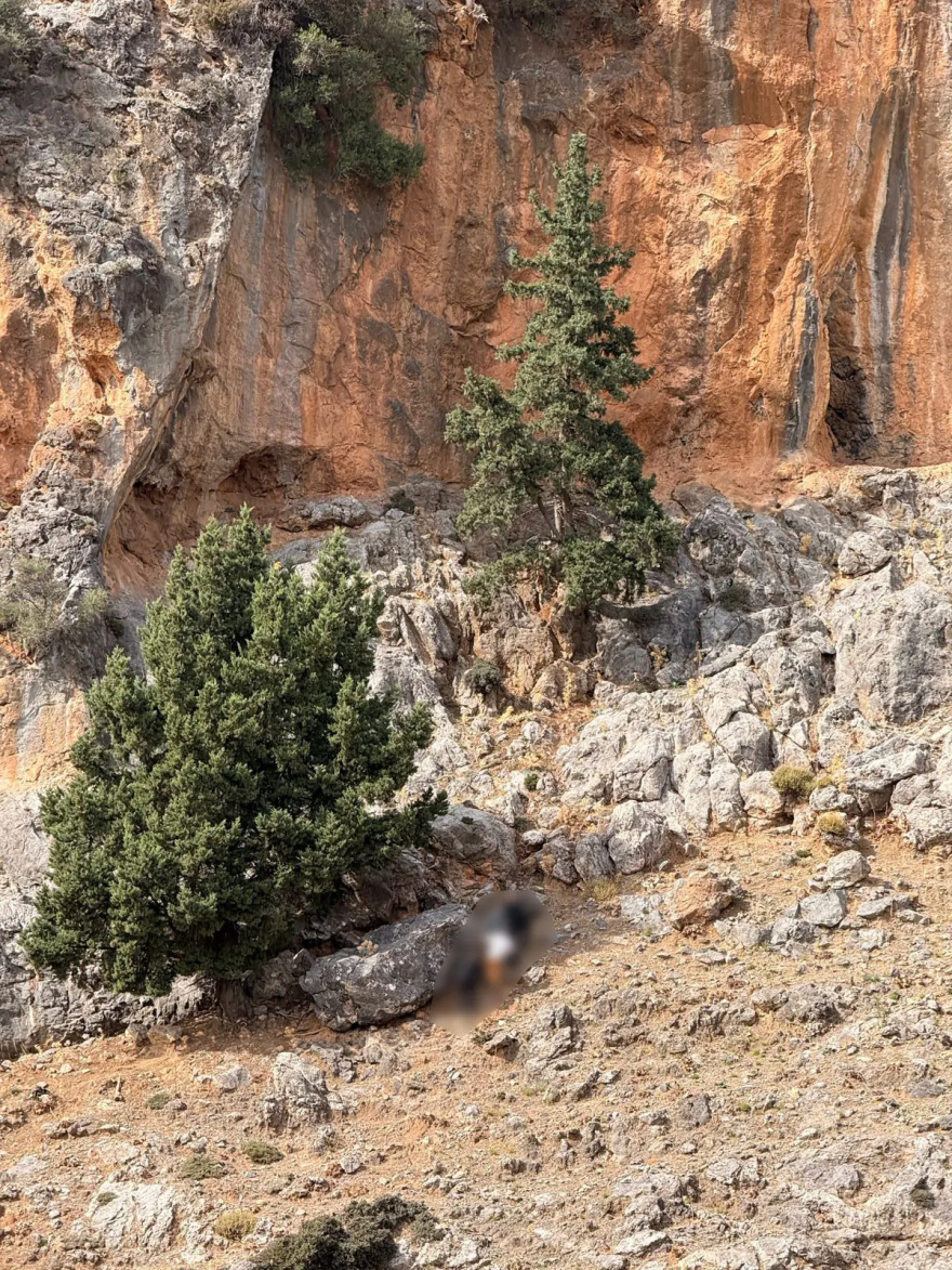 Παρών στη φονική συμπλοκή ο γαμπρός του Καργάκη - ΄Ηταν αυτός που πυροβόλησε με καλάσνικοφ, λέει η ΕΛΑΣ
