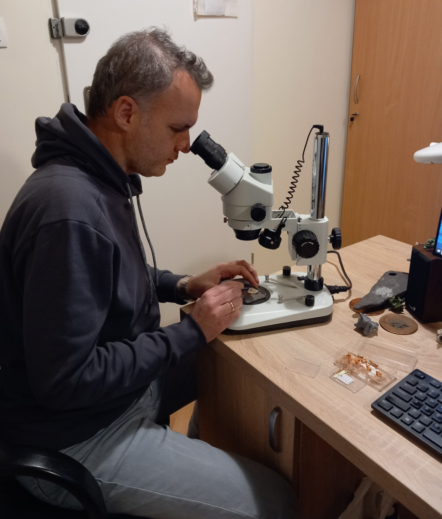 Παραδοξοφίδιο, ένα νέο είδος προϊστορικού φιδιού που ανακάλυψε Έλληνας παλαιοντολόγος